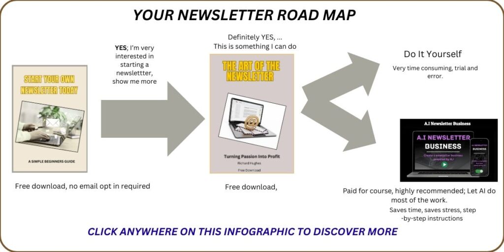 Infographic bout steps to a profitable email newsletter